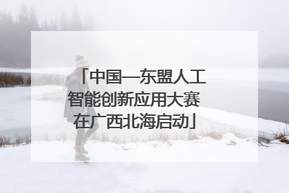 中国—东盟人工智能创新应用大赛在广西北海启动